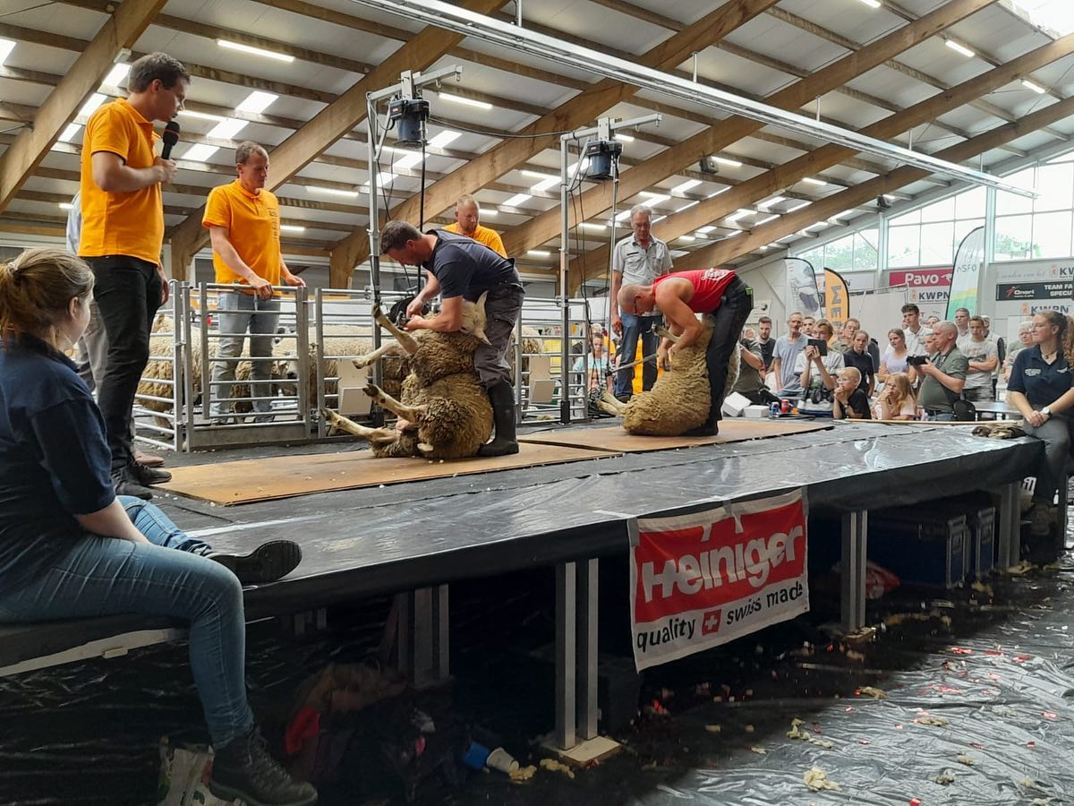 287739302_2543855545751752_8997940933554926211_n